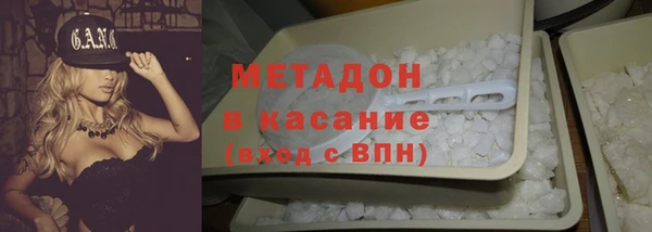индика Арсеньев
