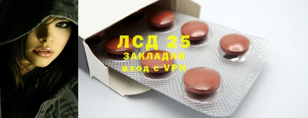индика Арсеньев