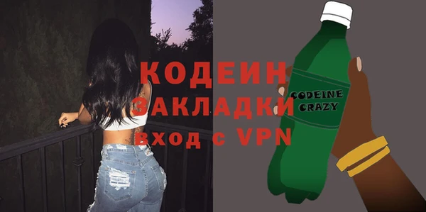 индика Арсеньев