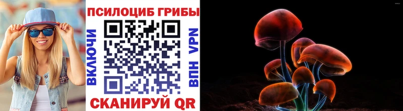 купить  цена  Спасск-Дальний  гидра зеркало  Псилоцибиновые грибы мицелий 