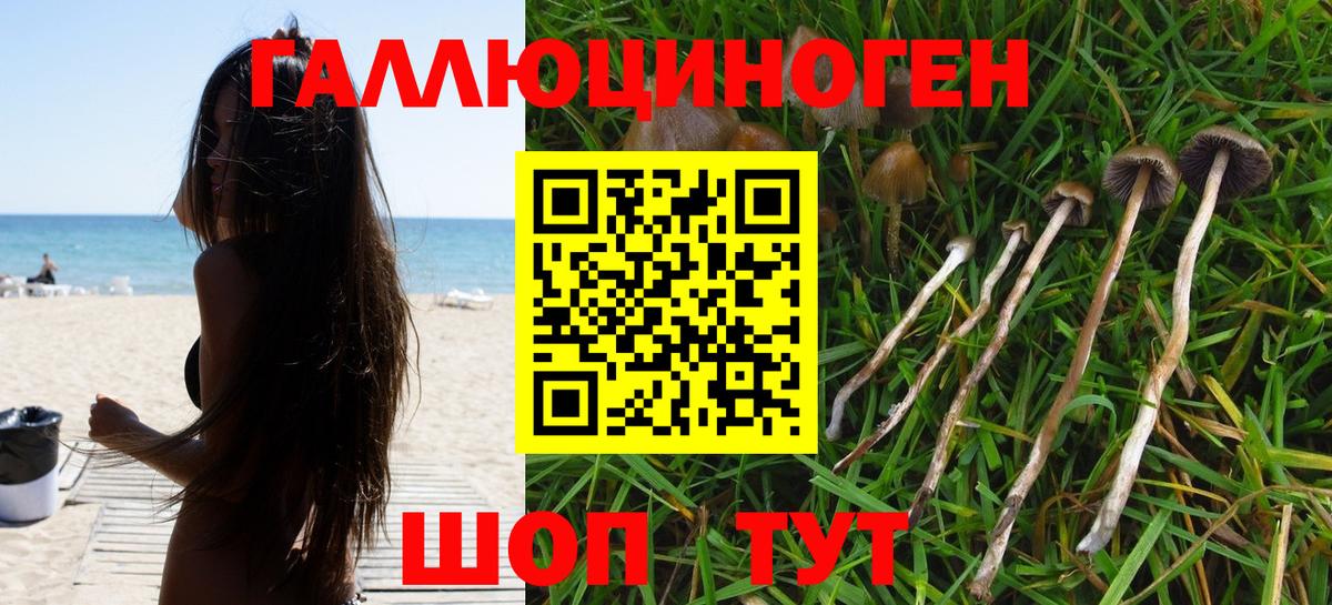 Псилоцибиновые грибы ЛСД  закладка  Спасск-Дальний  Вход с VPN 